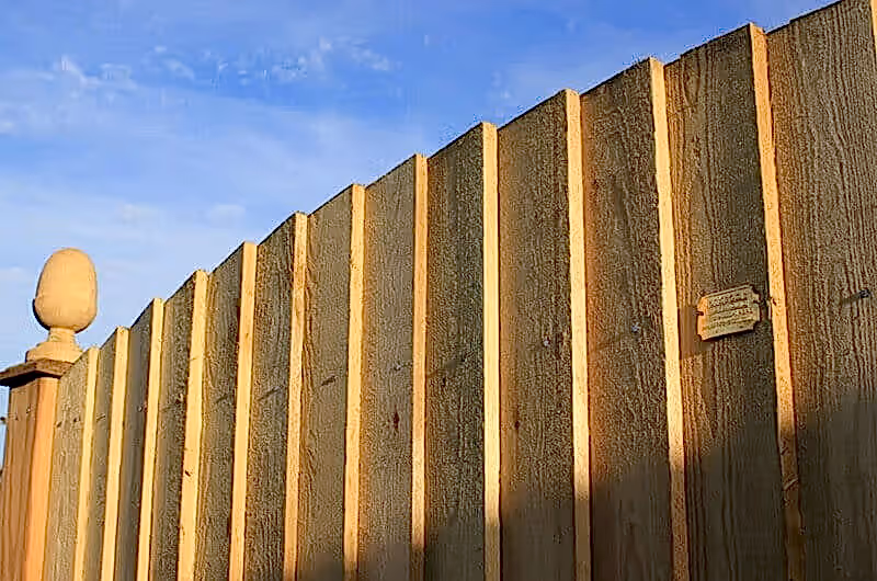 Featherboard Convex image