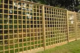 Standard Garden Trellis image