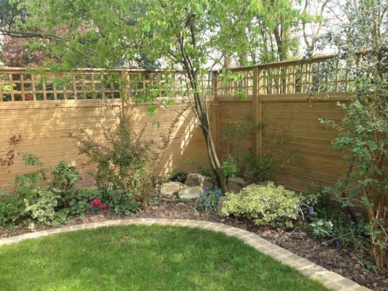 stelling minnis trellis