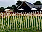 chestnut fencing