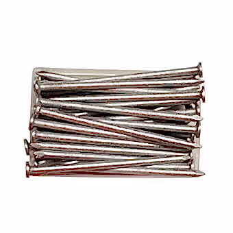 Galvanised nails