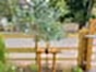 Morticed post and rail fencing prices