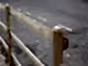 half round post and rail