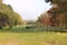 Estate railings RAL black
