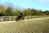 Equestrian Riding Arena