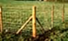 Fencing stakes and posts