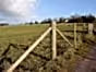 Posts and struts