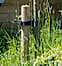 tree stake and tie