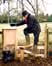 Stile with dog gate
