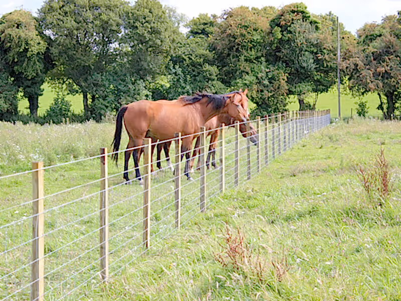 livestock fencing