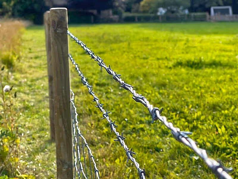 Barbed Wire above Stock Fencing