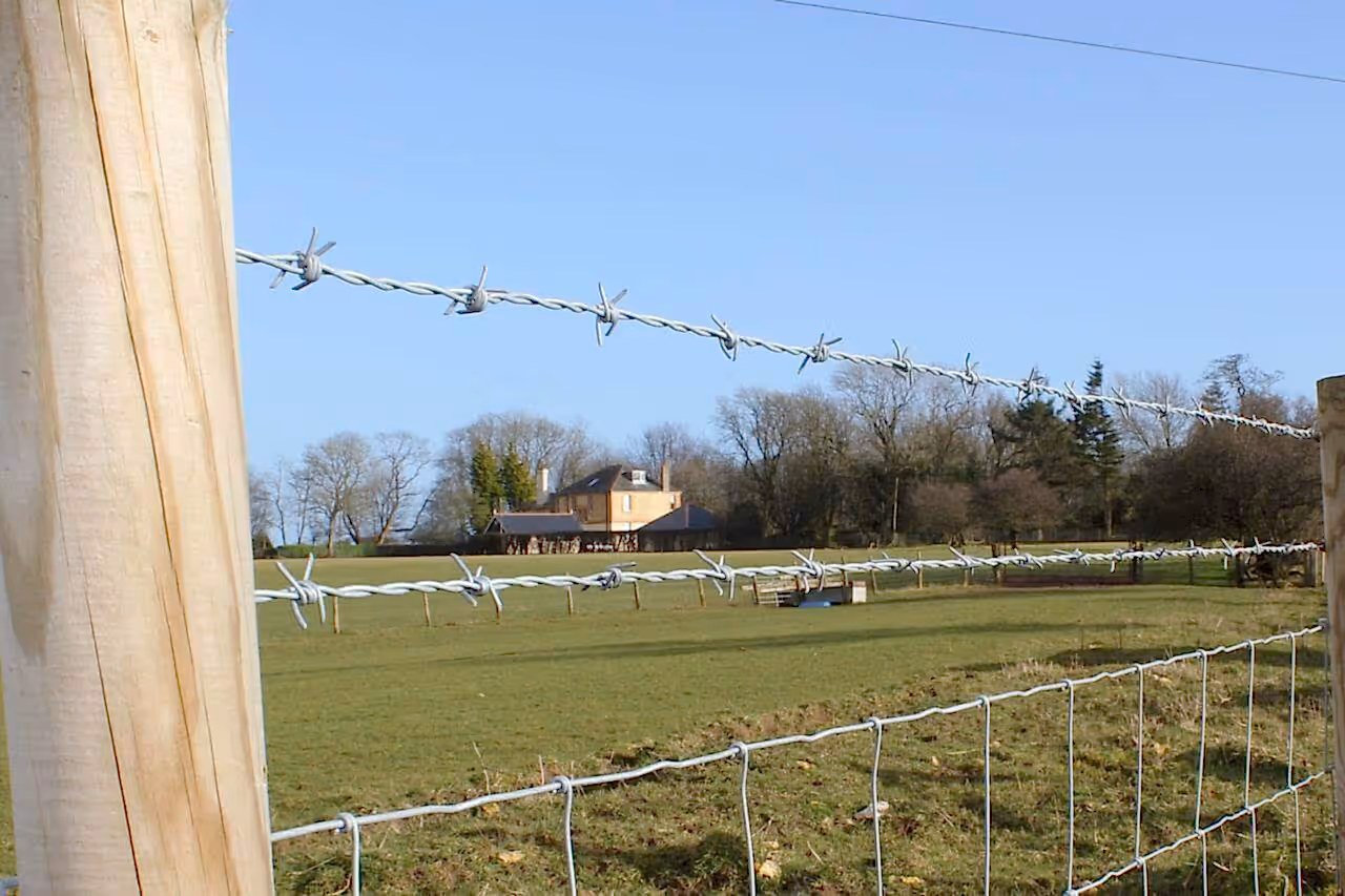 barbed wire detail