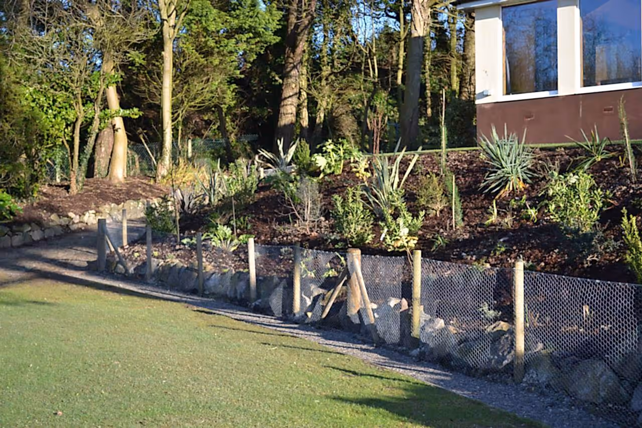 Chicken wire fencing