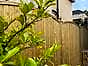 Curved-top-fence-panels
