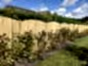 Convex curved featherboard fence panel