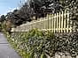 wooden palisade