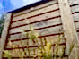 timber-cladding-fence-panels