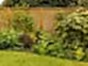 timber-venetian-slatted-fencing