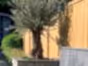 tongue-and-groove-effect-fence-panels-uk