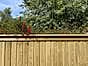 vertical-tongue-and-groove-premium-fence-panels