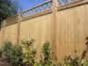 vertical tongue and groove with diamond trellis