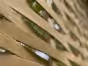 AADUAX---Detail-of-Woven-Fence-Panel---REPLACE-OLD-DETAILED-IMAGE