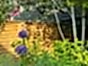 natural woven fence panels