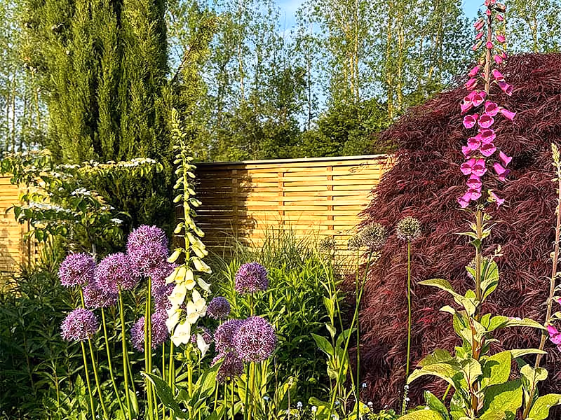 hazel fence panels