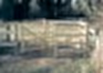 Mobility Wooden Kissing Gate