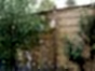 hit and miss Fencing Panels in urban nature garden