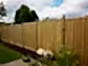 Chilham fence panels