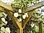 Pergola corner