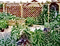 single pergola with Diamond Trellis panels