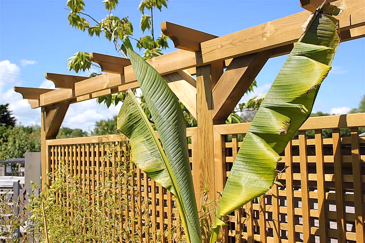 pergola parts wood posts