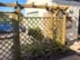 wooden single pergola