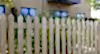 Traditional Pointed Palisade Fence