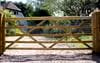Jacksons uni gate