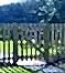 Wooden Palisade Garden Gate