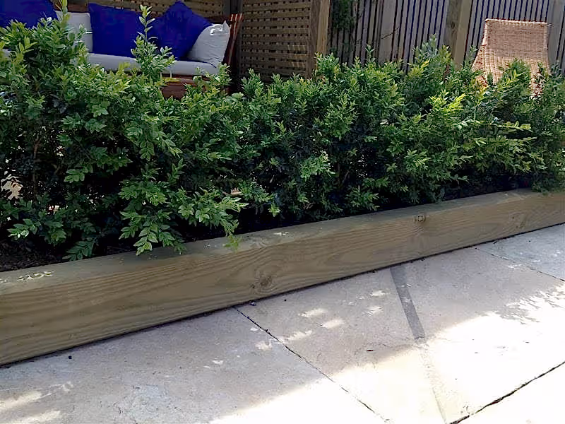 landscape timber