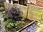 lattice trellis ideas