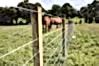 Plain Wire Fencing