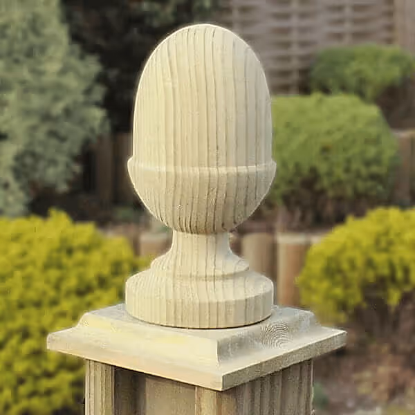 Acorn