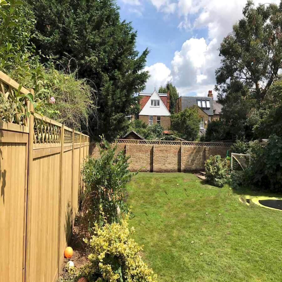 Diamond Trellis on wall and tongue and groove fencing