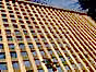 Lattice trellis close up