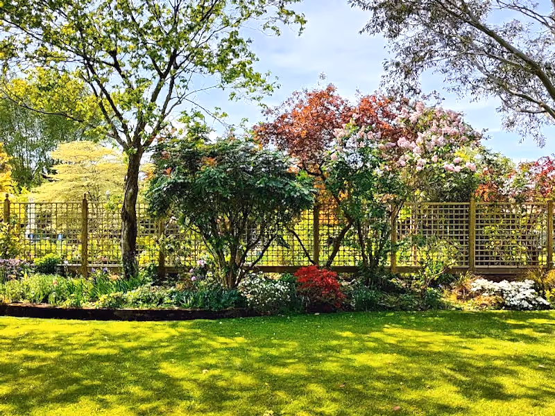 Premium Garden Trellis Panels