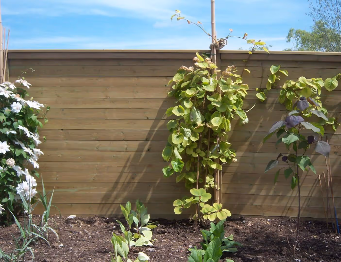 12K Acoustic Fence