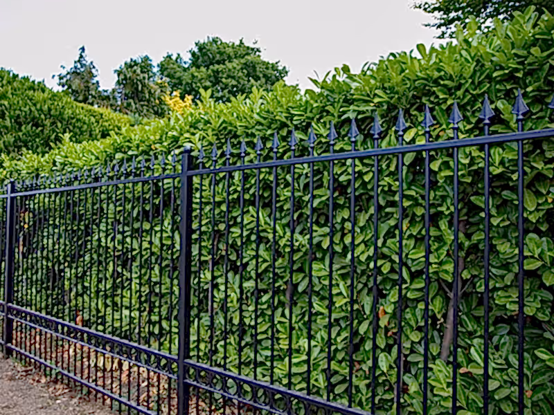 Ornamental metal railings