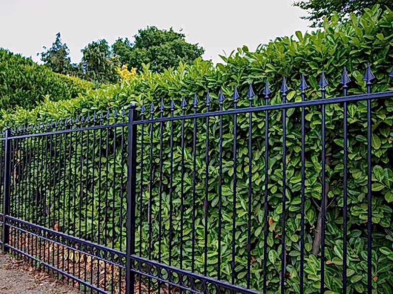 Traditional wrought iron style railings