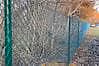 Chain Link Fencing