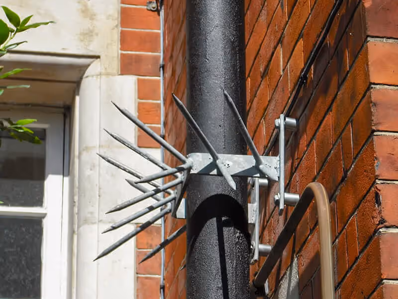viper spike 3 security topping on drainpipe